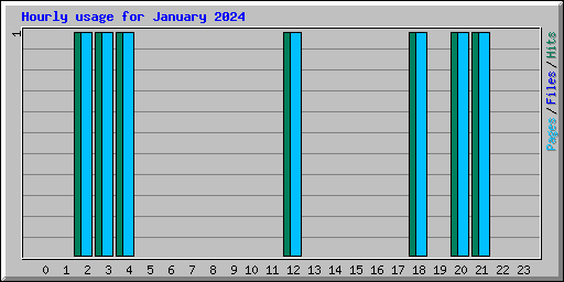 Hourly usage for January 2024