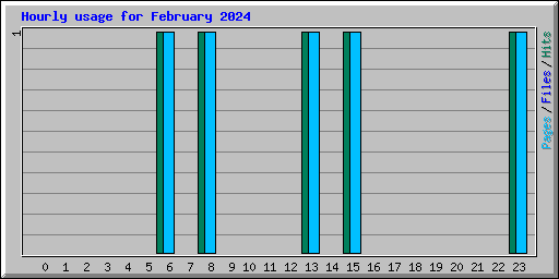 Hourly usage for February 2024